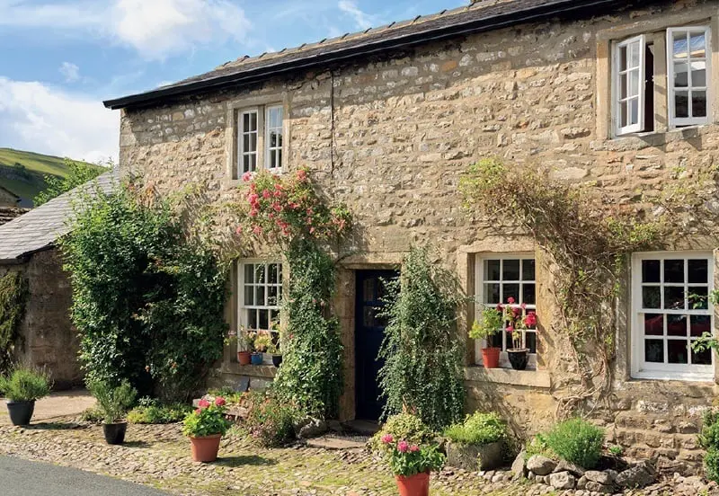 Domestic pest control in Yorkshire
