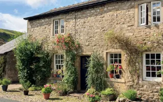 domestic-and-household-pest-control-in-yorkshire