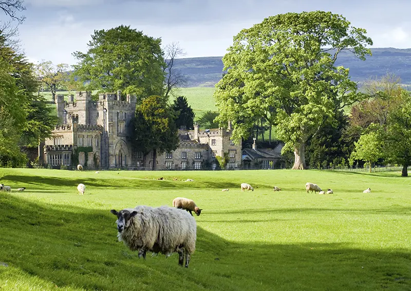 Pest control for estates in Yorkshire
