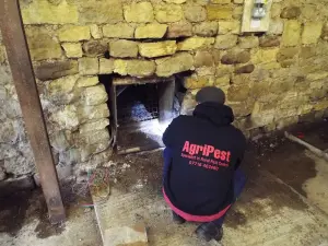 Agripest domestic pest control management