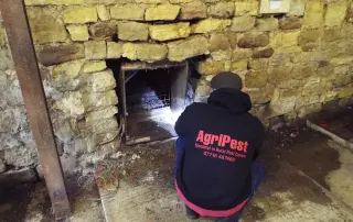 Agripest domestic pest control management