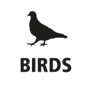birds