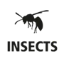 insects