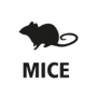 mice