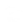 mice