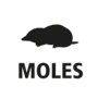 moles