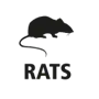 rats