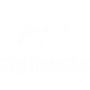 Squirrels