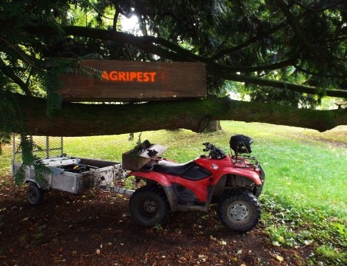 Squirrel Control on a Traditionally Managed 2000 Acre Estate