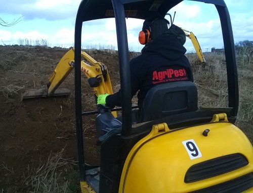 Large Rabbit Issue on 70 Acre Harrogate Equestrian Competition Yard