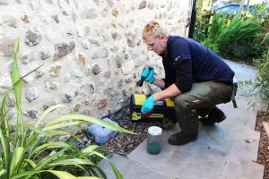 Placing Rodent traps for rats and mice