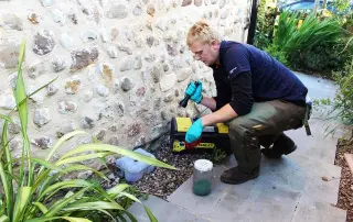 Placing Rodent traps for rats and mice