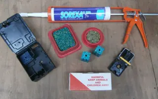 Products Agripest Management uses to get rid of a house mouse