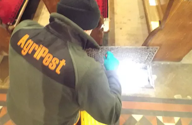 A pest control check carried out in a church in North Yorkshire, Harrogate