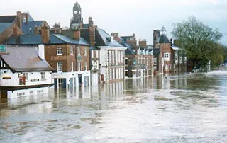 Flooding In Yorkshire proves a breeding ground for rats