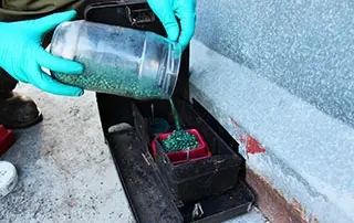 Replenishing a secure locking baiting point, proffesional pest control services
