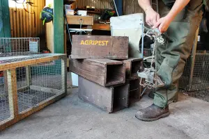 Agripest Management the pest control experts
