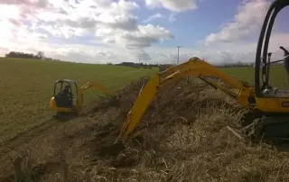 clearing rabbit warrens for pest control
