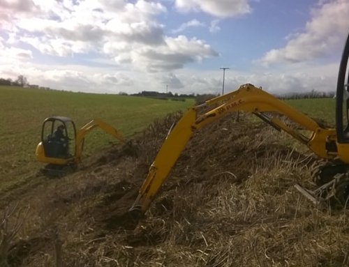 How Agripest Control Rabbits in the Yorkshire Region