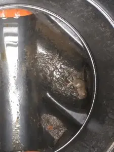 Drainage system 