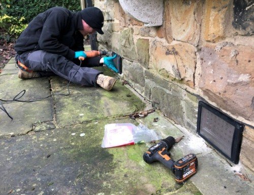 Pest Prevention and Rout to Non-Toxic Pest Management