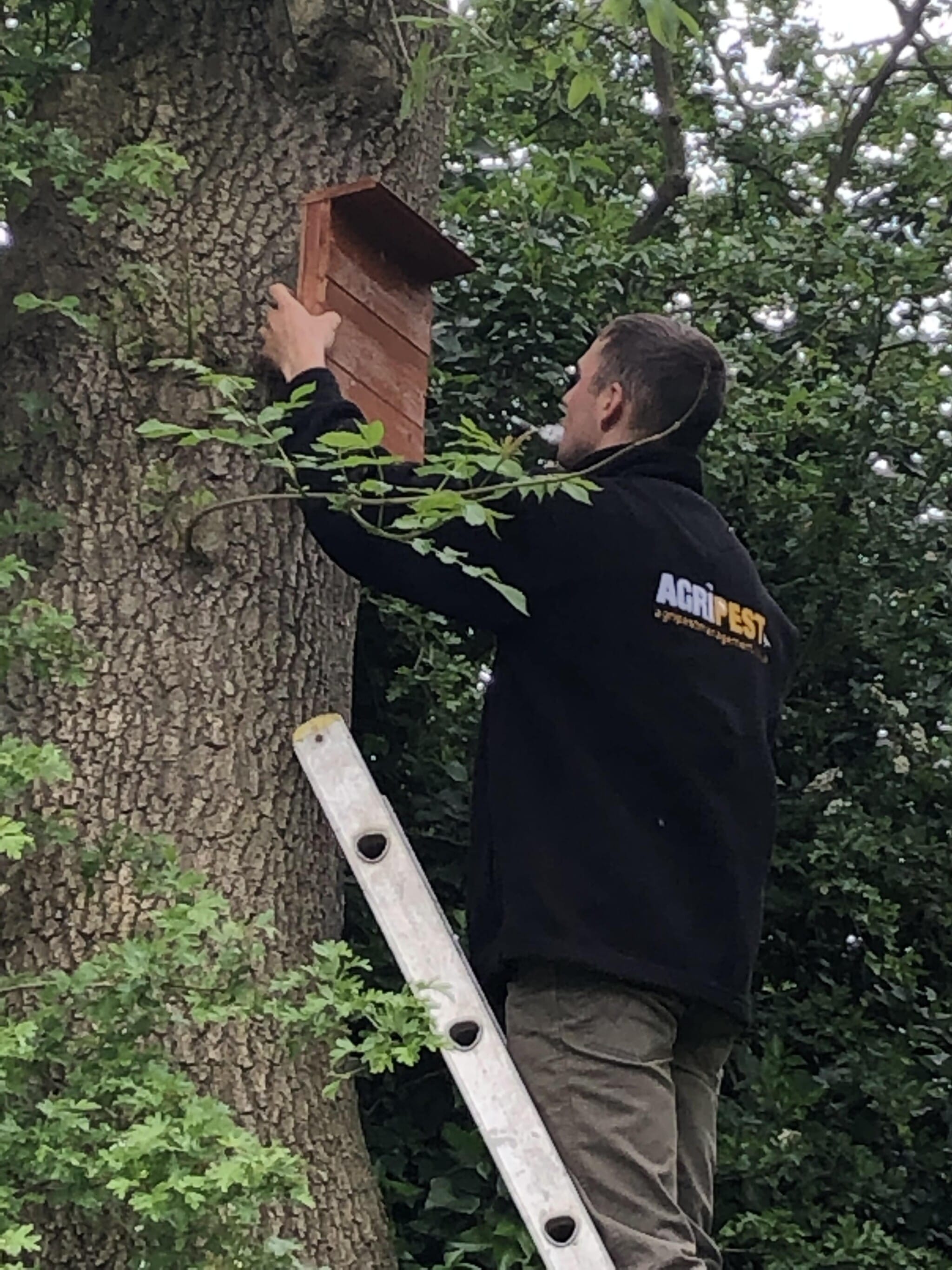 Conservation Work - Agripest management