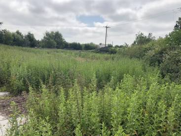Conservation Work - Agripest management