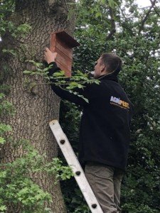 Conservation Work - Agripest management