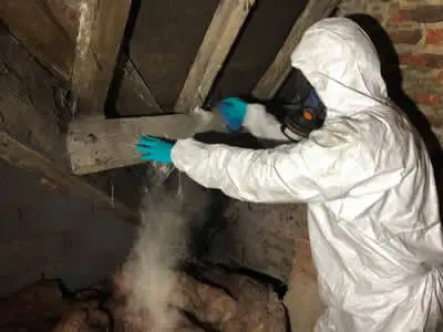 Domestic pest control Wetherby Harrogate York