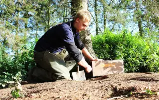 AgriPest pest control specialists
