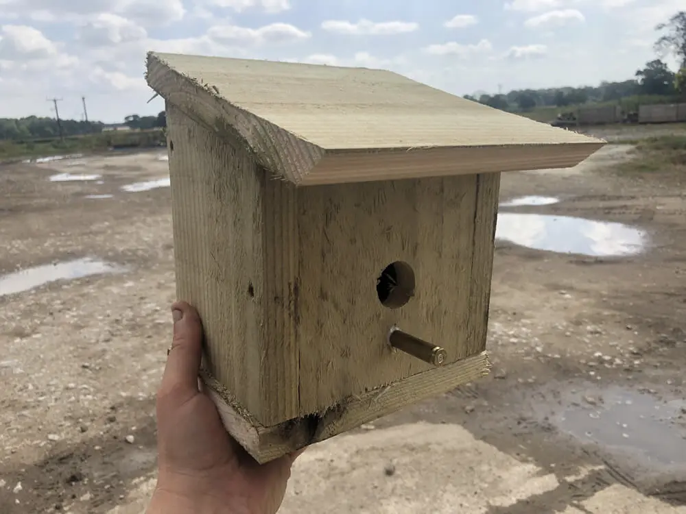 bird box conservation