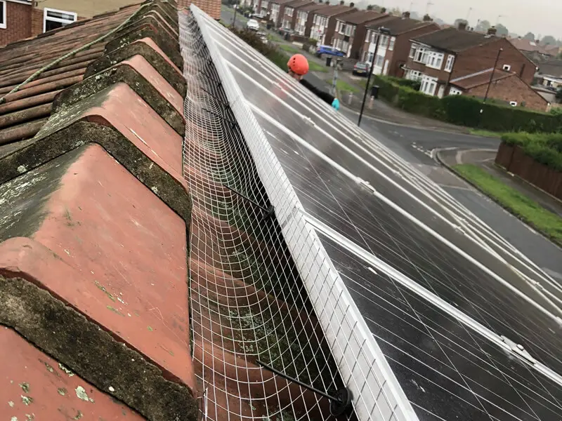 bird proofing solar panels