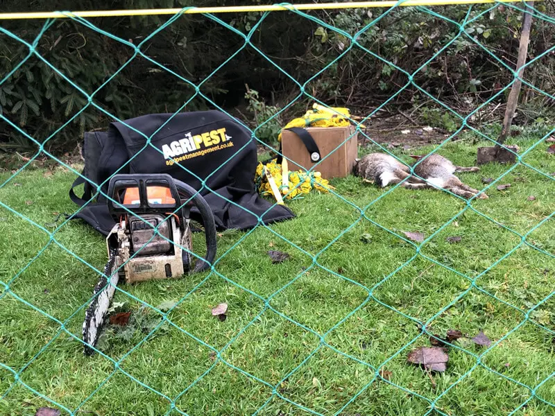 fox control