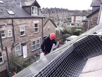 Domestic pest control York