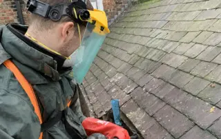 pigeon pest control wetherby york harrogate