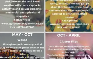 Pest control Info-graphic