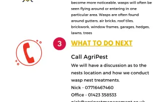 Wasp removal steps