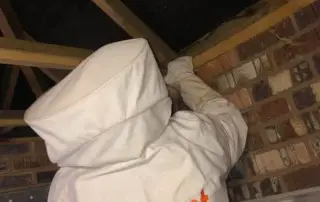 was nest removal
