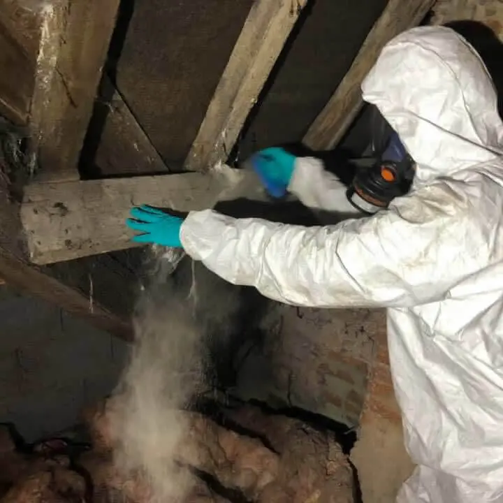 pest control York