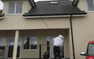Wasp nest removal Wetherby