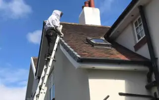 Wasp nest removal York