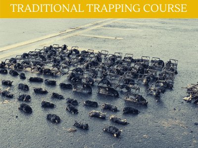 AgriPest training 5