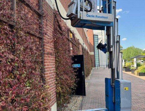 CASE STUDY: Heatwave Triggers Bee Swarms — How Agripest Management Responded