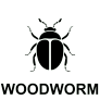 Woodworm