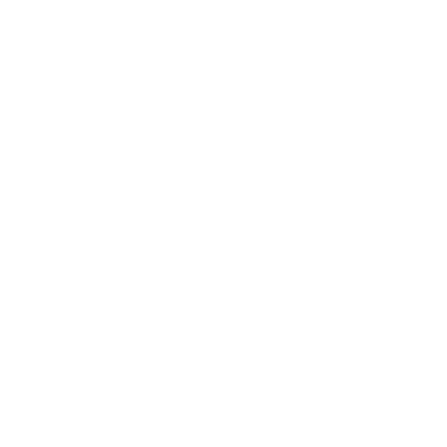 Squirrels