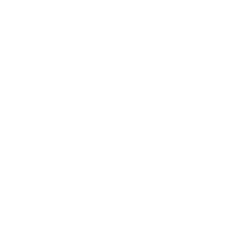 Woodworm