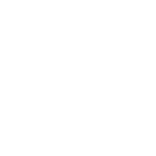Insects