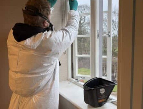 Hidden Woodworm in Property Surveys